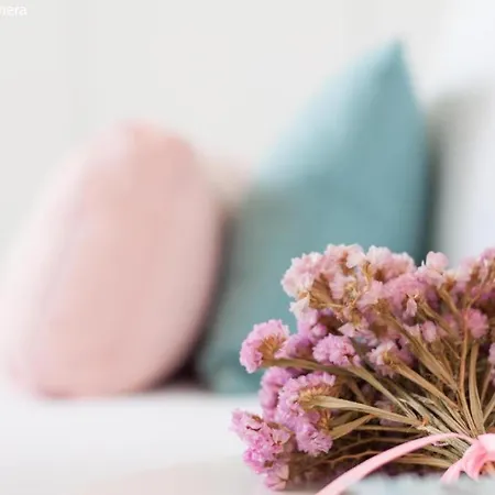 Apartamento Inside - Flores